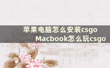 苹果电脑怎么安装csgo Macbook怎么玩csgo